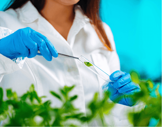 Undergraduate Programs